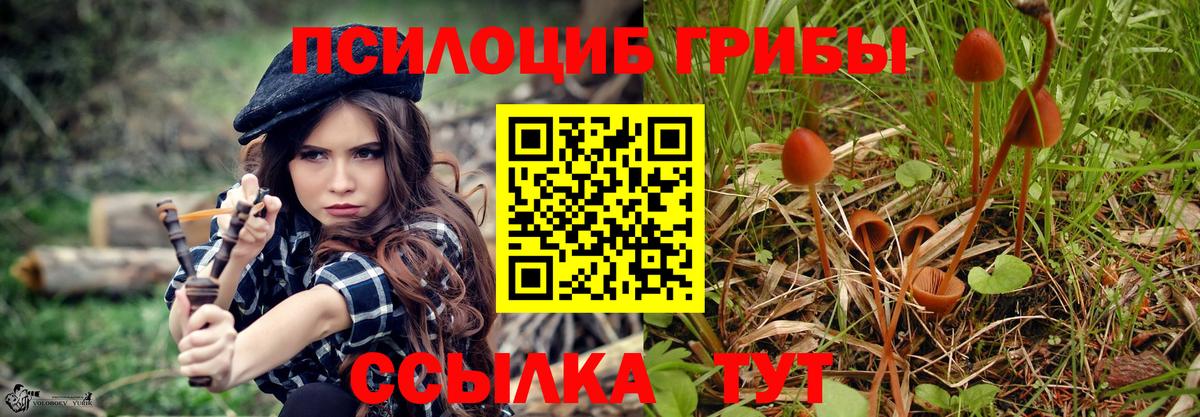 Псилоцибиновые грибы Psilocybine cubensis Богданович