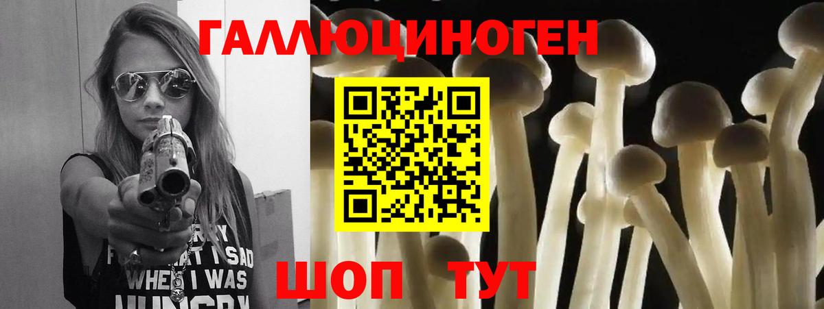 Богданович  Галлюциногенные грибы мицелий  Вход с VPN 