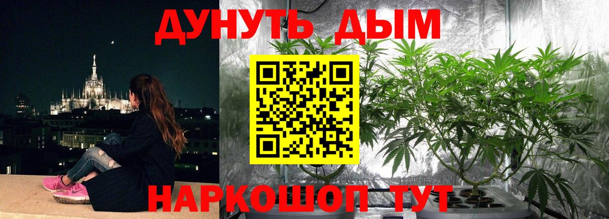 Марихуана план Богданович